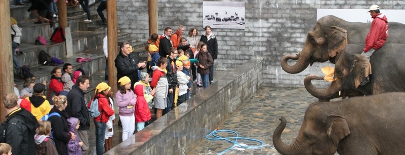 La Grande Excursion 2011 à Pairi Daiza