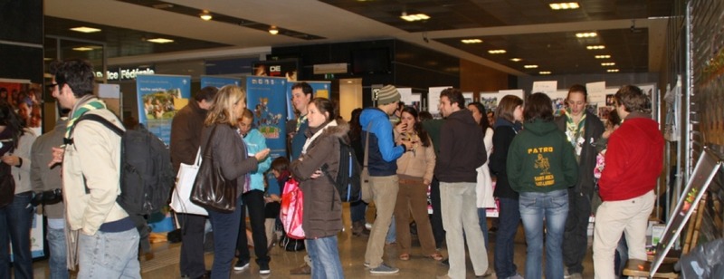 Beau succès de la Journée des Mouvements de Jeunesse Beau succès de la Journée des Mouvements de Jeunesse