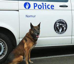 Police de Namur : la Brigade Canine a 10 ans