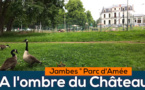 Jambes Amée: les façades rénovées du Château   