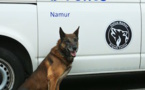 Police de Namur : la Brigade Canine a 10 ans