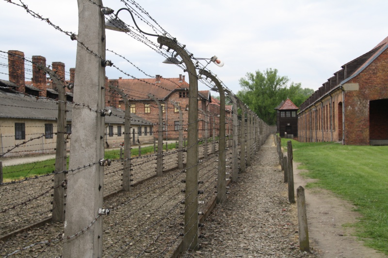 Voyage Auschwitz 2015_05