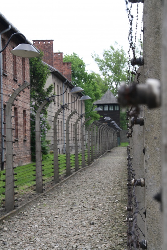 Voyage Auschwitz 2015_12